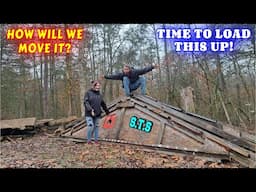 THE START OF SOMETHING GREAT | work, couple builds, tiny house, homesteading, off-grid, rv life |