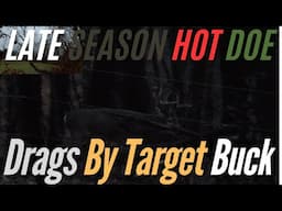 Buck Chasing Late Season Doe | Second Rut | Late Season Hunt For Tank