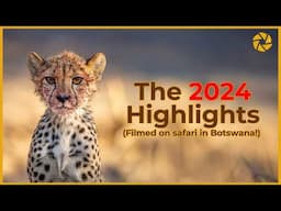 Watch Our Botswana Wildlife Photography Highlights for 2024