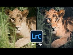 Lightroom Masking Tricks I’ll Never Stop Using!