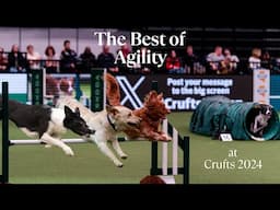 The BEST of Agility at Crufts 2024