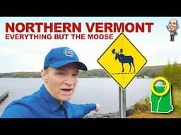 Chasing moose along Vermont's Canadian border