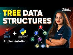 Tree Data Structures: Basics to Coding in Java & Python