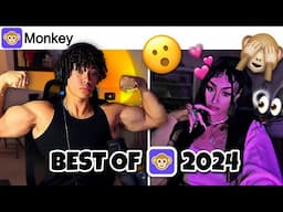 BEST OF AESTHETICS ON MONKEY 2024 EDITION