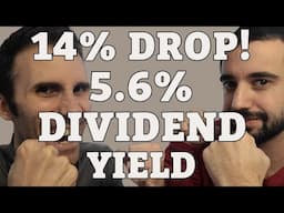 14% Drop in One Day… 5.6% Yield! Bargain or Value Trap?