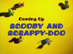 Boomerang US - Scooby-Doo and Scrappy-Doo Next Bumper (2000)