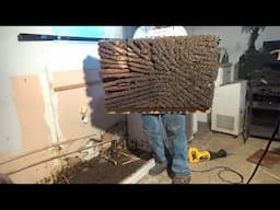 Massive bee hive removal from beneath her kitchen cabinets.