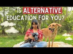 Is Alternative education better than mainstream education?