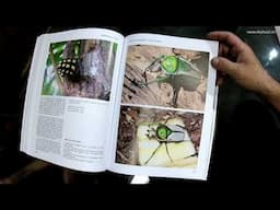 Book review: Breeding Beetles - The Substantial Guide by Benjamin Harink