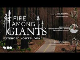 Fire Among Giants: Extended Voices Podcast — Don Hankins