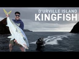 D'URVILLE ISLAND KINGFISH