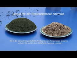 Betrug mit der Medizinalpflanze Artemisia annua