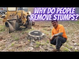 Why do people remove stumps?