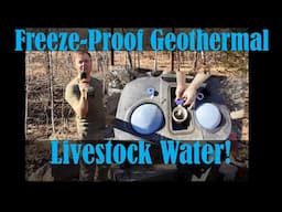 Freezeproof Geothermal Livestock Waterer