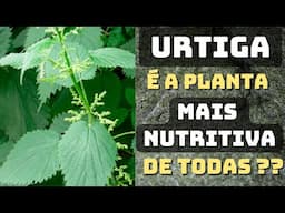 URTIGA 🌿 A planta que cura quase tudo!