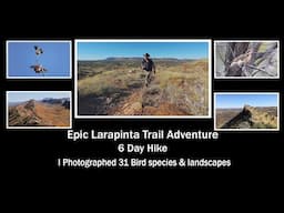 Epic Larapinta Trail Adventure. Bird Photography