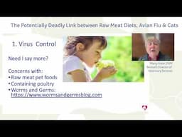 The Potentially Deadly Link between Raw Meat Diets, Avian Flu & Cats