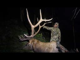 Backcountry Dreams Come True // Journey of a Public Land Archery Elk Hunt