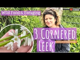 Three Cornered Leek (Wild Food & Foraging)