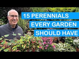 15 PERENNIALS EVERY GARDEN SHOULD GROW – COLOUR FROM FLOWERS & FOLIAGE: POTS & BEDS THROUGH THE YEAR