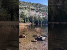 Peaceful Lake in Acadia National Park