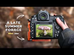 September Mushroom Photography! Foraging with a Nikon D850