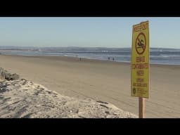 Coronado calling for local emergency declaration over sewage pollution