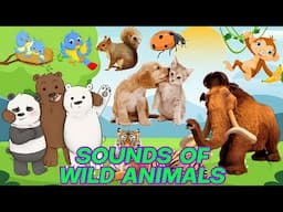 SOUNDS OF WILD ANIMALS | FAMILIAR ANIMALS - ELEPHANT, TIGER, BEAR, LION, MONKEY | ANIMAL VIDEOS