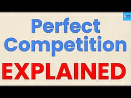 What Is PERFECT COMPETITION? | [ELI5 w/ examples] | Think Econ