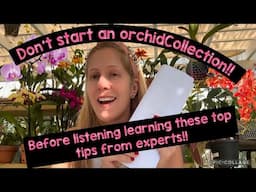 Don’t Start an Orchid Collection!! Without hearing these tips from expert growers!