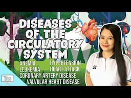 Diseases of the Circulatory System | Biology