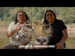 KALA MARKA EN EL DIA INTERNACIONAL DEL JAGUAR 29 DE NOVIEMBRE