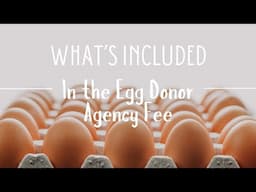 What's Included in the Egg Donor Agency Fee