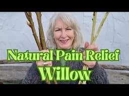 Natural Pain Relief - Willow