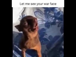 Let me see your war face 😂😂😂