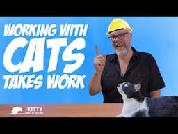 Working With Cats Requires Effort - And it's Worth It!