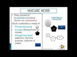 DNA CODE OF LIFE GRADE 12 LIFE SCIENCES THUNDEREDUC BY MSAIDI