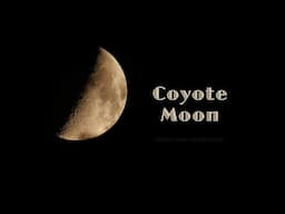 Coyote Moon