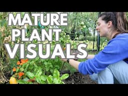 Vegetables to Grow in a Small Vegetable Garden