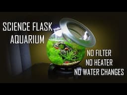 SCIENCE FLASK AQUARIUM | No filter, No heater, Miniature setup tutorial