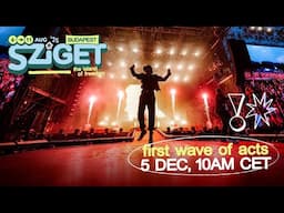 Sziget Festival 2025│First wave of acts coming