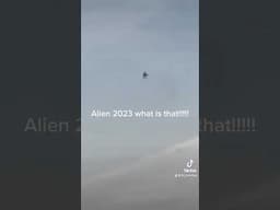 Aliens 2024