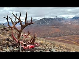 400” Caribou!!! | Fly In Alaska Caribou Hunt | Week In The Wild Part 2 | S9E3 | Limitless Outdoors