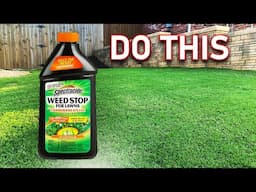 No Lawn Weeds With These Easy Tips