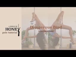 Pole Tutorial: Dangerous Bird (intermediate pole tricks)