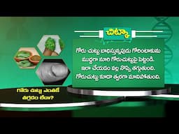 Health Tip | గోరు చుట్టు ఎంతకీ తగ్గడం లేదా ? | Sukhibhava | 10th Feb 2025 | ETV Life