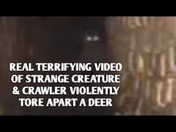 #DOGMAN, REAL TERRIFYING VIDEO OF STRANGE CREATURE & CRAWLER VIOLENTLY TORE APART A DEER