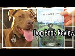 Tomorrow by Damien Dibben | Book Review