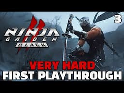 I learned how to play... I get it now. - Ninja Gaiden 2 Black [3]