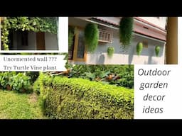 The trending turtle vine plant outdoor decor ideas.Just see how crazily they grows.